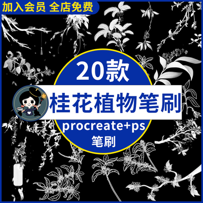 手绘古风桂花植物花卉花朵树枝插画辅助线稿procreate笔刷ps笔刷