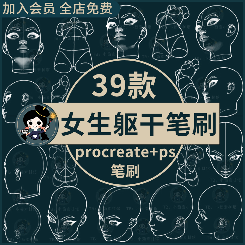 女生动漫头像躯干多角度结构线稿辅助线练习ps笔刷 procreate笔刷
