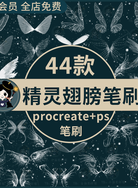 procreate笔刷白色梦幻发光仙女精灵翅膀蜻蜓蝴蝶翅膀ps笔刷素材