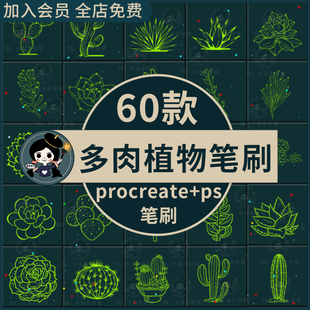 ps多肉植物笔刷仙人掌仙人球盆栽盆景园艺花艺素材procreate笔刷
