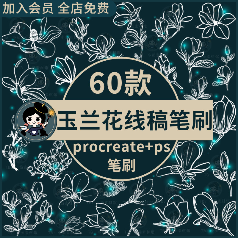玉兰花花朵花卉花簇枝条线描线稿临摹辅助线procreate笔刷ps笔刷