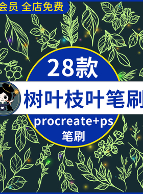 手绘线描线稿树叶枝叶叶子插画ipad绘画procreate笔刷ps笔刷素材