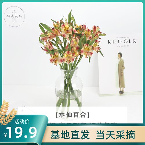 水仙鲜花价格 水仙鲜花图片 星期三