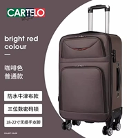 Коричневая/обычная версия