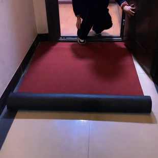 进门地垫入户门垫地垫室外大面积七条纹 TPE 地毯家用厨房防滑脚