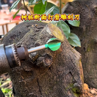 6mm 木雕根雕木工 直柄球形刀头 4PCS 盆景专用雕刻刀丸球雕刻刀