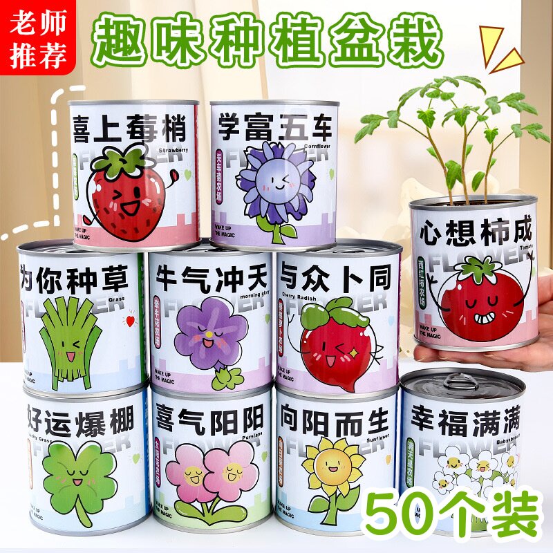 创意DIY种植盆栽盲盒伴手礼幼儿园开学仪式感礼品儿童奖励小礼物