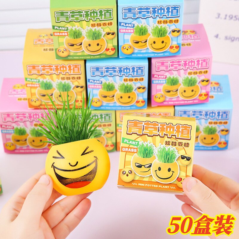 表情种植盆栽儿童创意小礼物幼儿园奖励分享小礼品学生全班奖品