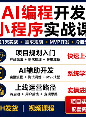 AI编程小程序从入门到实战21天视频教程MVP开发测试冷启动变现