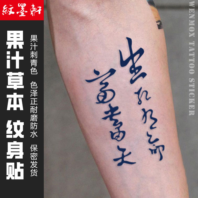 纹墨轩·wmx果汁防水纹身贴女款生死有命富贵在天草本贴纸男士款