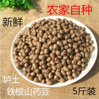 正宗新鮮溫縣壚土斤裝鐵棍山藥豆