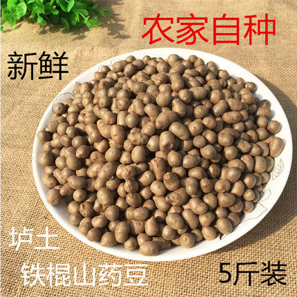 正宗铁棍山药豆新鲜焦作温县垆土山药蛋豆 怀铁棍旦5斤装