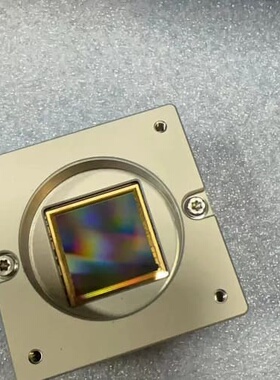 Dalsa G3-GM30-M5105全局工业相机，GEN--议价商品