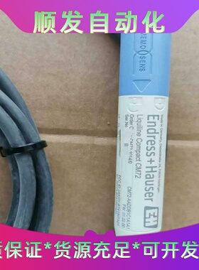 E+H 紧凑型Liquiline变送器CM72-AADDB1--议价商品