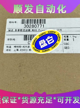 M300Process1-CH1/2DIN民顶现梅--议价商品