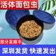 深圳面包虫活体黄粉虫宠物饲料八哥鸟乌龟话梅鸟龙鱼饲料饵钓守宫