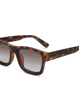 RIANO女款太阳镜偏光户外出行磨砂墨镜插针腿CP开车渐进色sunglas