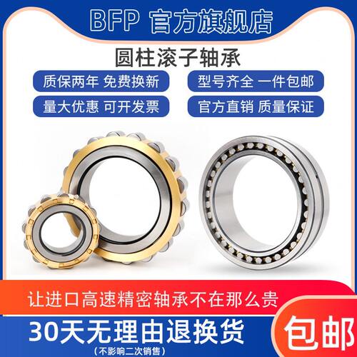 日本BFP进口圆柱滚子轴承RN304 305 306 307 308 309 310EM减速机