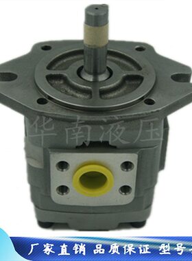 不二越NACHI油泵  IPH2B35565811 日本原装不二越齿轮泵