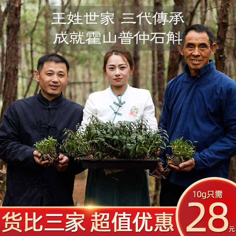 正品霍山铁皮石斛枫斗粉干品鲜条养生茶礼盒装石斛花茶中药材500g