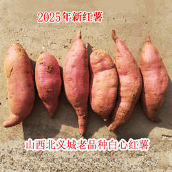 山西晋城北义城红薯白心老品种农家5斤装小果新鲜地瓜山芋包邮