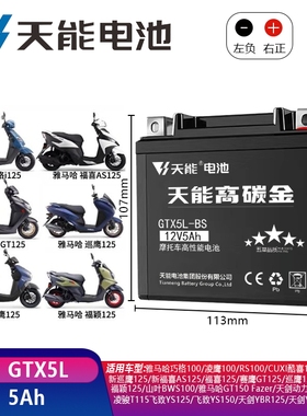 用于本田55期小龟SCOOPY 100 110i 大龟Navi 110电瓶蓄电池nsr250