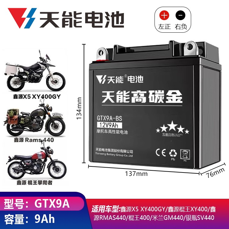 宗申比亚乔风行BYQ125-2E week8 fi叛逆者250摩托车电瓶12v蓄电池