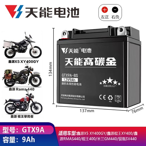 RA摩托车电瓶RA150 GP150 GP250 GP300 TG300S TV175 TG300S天能