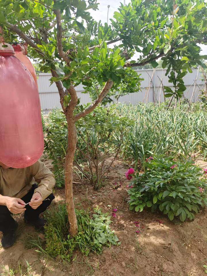 2月16日潍坊学校院内厂房及地上附着物、行车及推拉门一宗网络拍卖公告