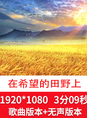 希望的田野上歌曲背景秋天金黄色丰收背景秋天风景视频秋天背景