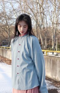 短衫 裳裳者华 窄袖 汉服日常明制立领竖领琵琶袖 袄夹衣秋冬 秋意浓