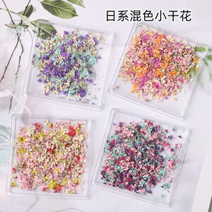 新款日系ins网红美甲干花多色混合装碎花小清新DIY饰品天然小花