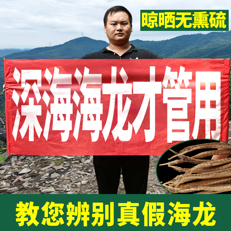 小海龙10根装足干渔民捕捞海产大刁六角干货煲汤滋补泡酒料