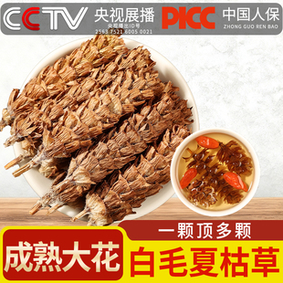 夏枯草中药材500g新鲜干货白毛夏枯草夏菇球正品泡茶蒲公英