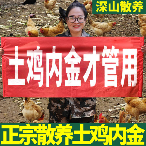 生鸡胗皮片250g鸡内金中药材熟中药材非调理脾胃干净官方旗舰店