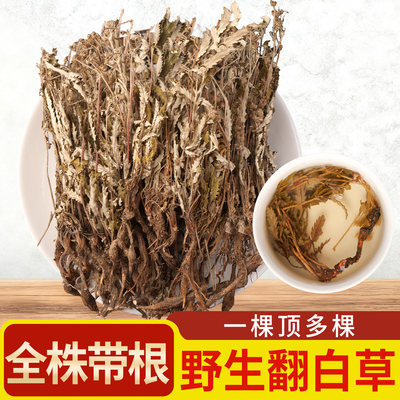 翻白草中药材500/250克/100g野生粗根整棵新货翻白草番白草
