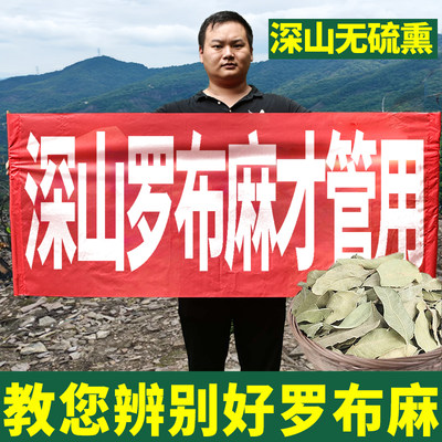 新疆罗布麻，当季新货