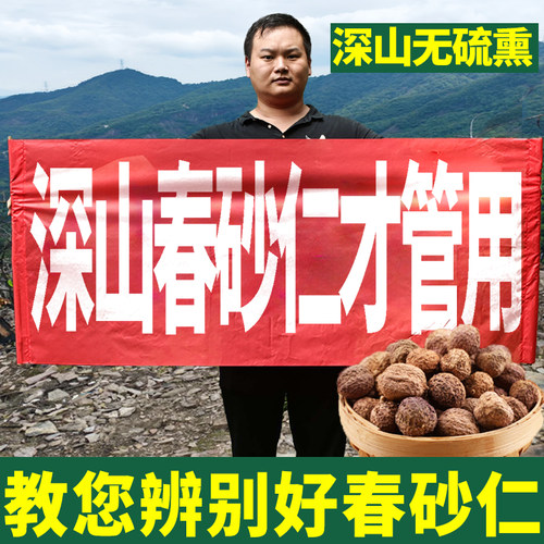 正宗阳春春砂仁煲汤【假一赔十】