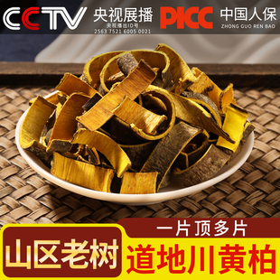 黄柏中药材克川黄柏片黄柏树皮黄皮黄百黄柏粉去皮泡水官方旗舰店