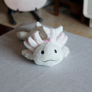 欧洲单可爱六角恐龙公仔蝾螈玩偶薰衣草填充有香味可加热小礼物女