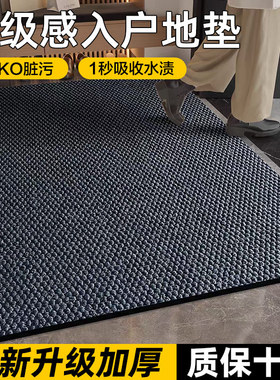 2025新款高端门口地垫进门入户家用门外专用防滑门店耐脏免洗蹭土