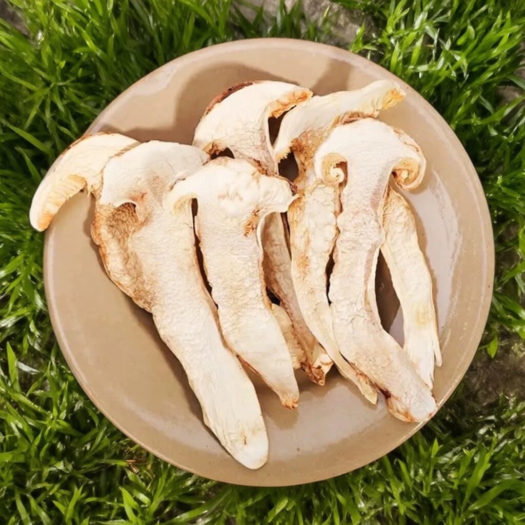 长白山野生松茸干片精选大片