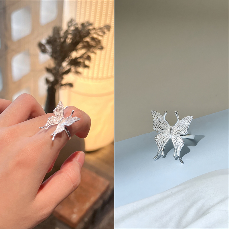 漂亮光泽的蝴蝶犹如晨光下