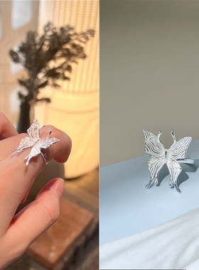 漂亮光泽的蝴蝶犹如晨光下