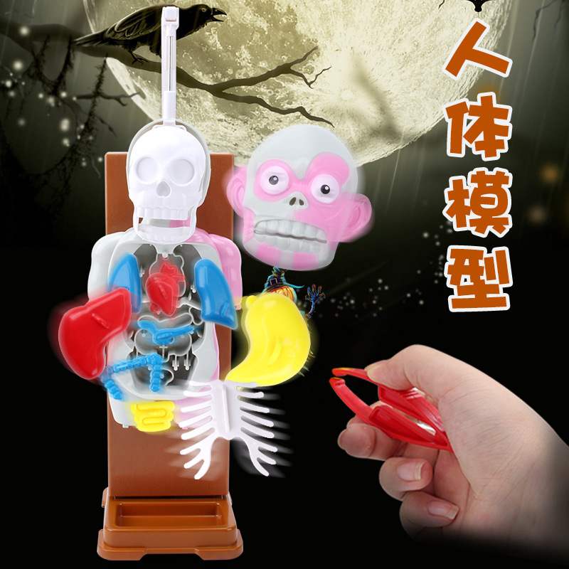 热卖仿真人体模型拼装 益智桌游3D人体模型聚会整蛊玩具现货