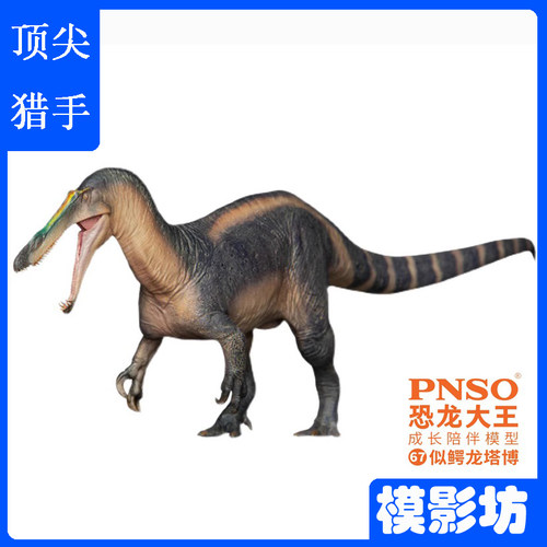 PNSO恐龙大王似鳄龙侏罗纪古生物