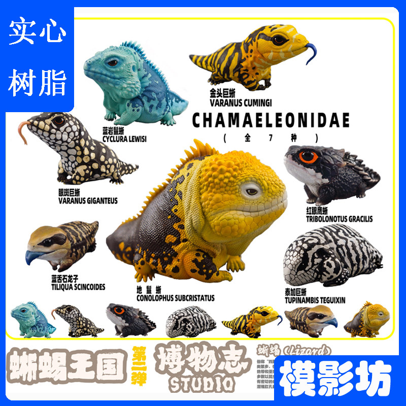 博物志工作室蜥蜴王国第二弹蓝舌石龙子蓝岩金头巨蜥等潮玩手办GK