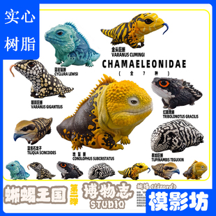 博物志工作室蜥蜴王国第二弹蓝舌石龙子蓝岩金头巨蜥等潮玩手办GK