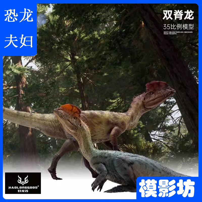 好龙谷双脊龙夫妇双冠龙侏罗纪恐龙儿童玩具模型礼物摆件棘龙模型
