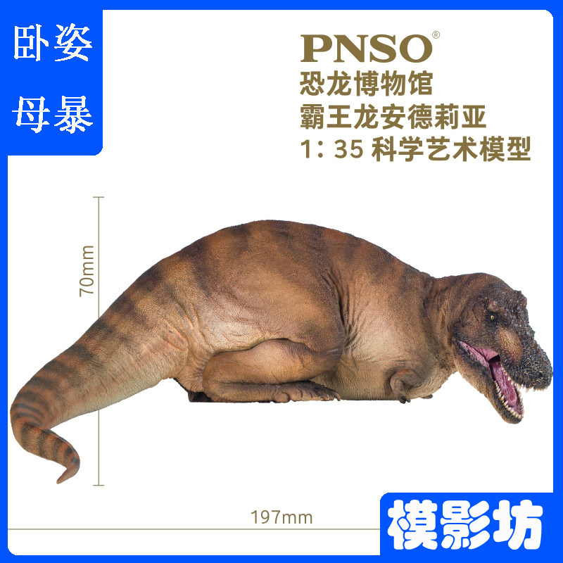 pnso恐龙博物馆霸王龙安德莉亚1/35科学艺术模型卧姿母暴龙侏罗纪